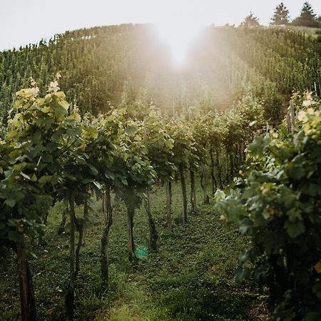 Weingut Meurer Apartment Reil Ngoại thất bức ảnh