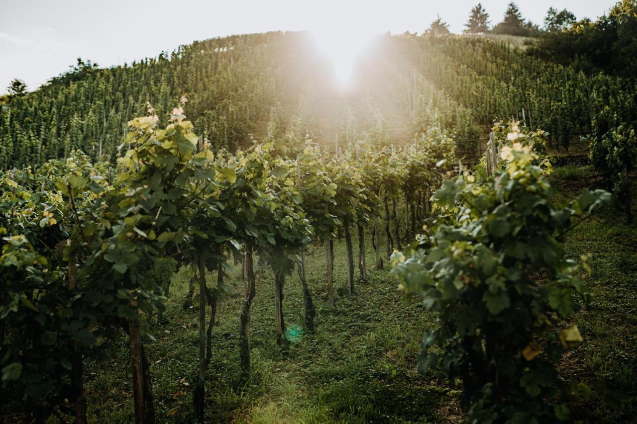 Weingut Meurer Apartment Reil Ngoại thất bức ảnh